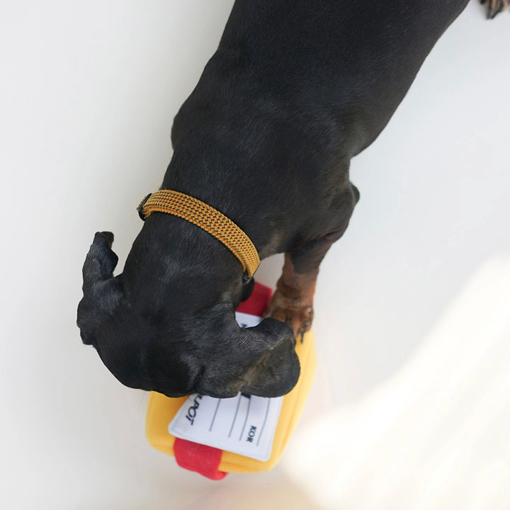 ※予約販売【HOWLPOT.】Express Pet Toy（Nosework）