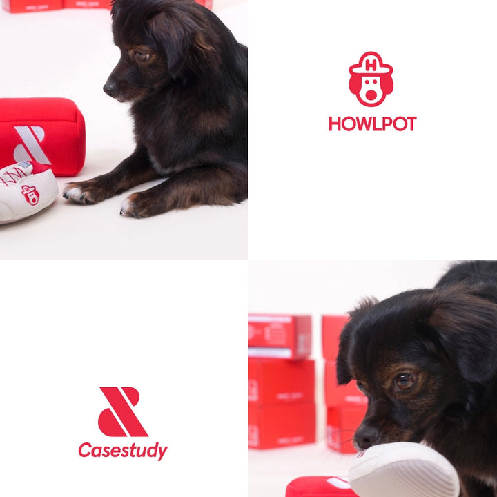 ※予約販売【HOWLPOT.】Howlpot × Casestudy Shoe Box Toy（Nosework）