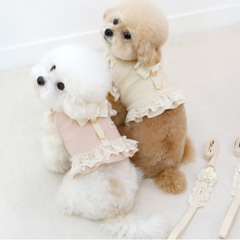 ※予約販売【ITS DOG】Organic Flora Harness (Pink)