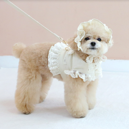 ※予約販売【ITS DOG】Organic Flora Harness (Beige)