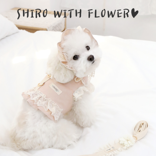 ※予約販売【ITS DOG】Organic Flora Harness (Pink)