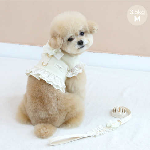 ※予約販売【ITS DOG】Organic Flora Harness (Beige)