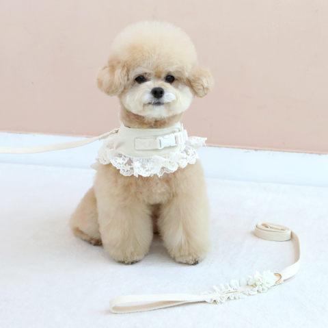 ※予約販売【ITS DOG】Organic Flora Harness (Beige)