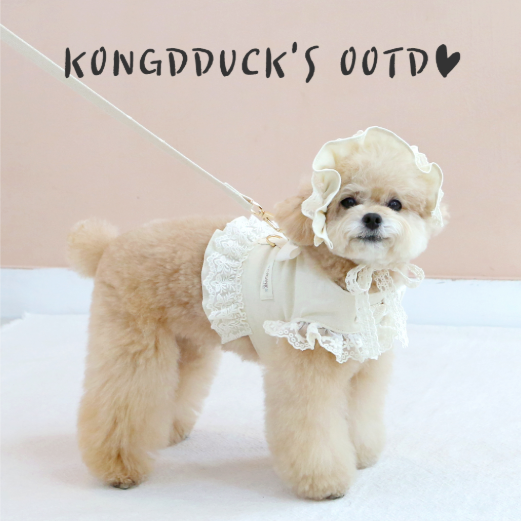 ※予約販売【ITS DOG】Organic Flora Harness (Beige)