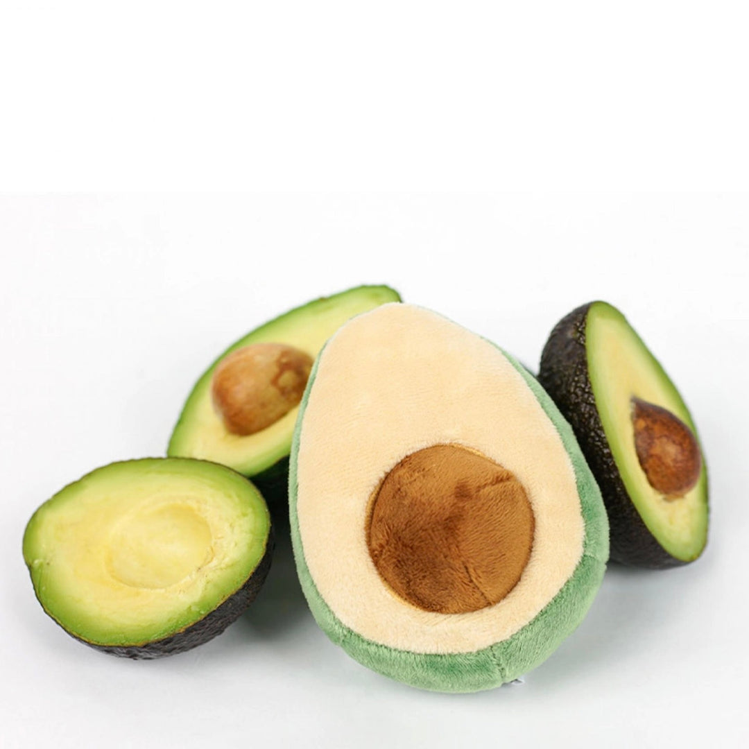 ※予約販売【HOWLPOT.】Howlgo Avocado Toy（Nosework）