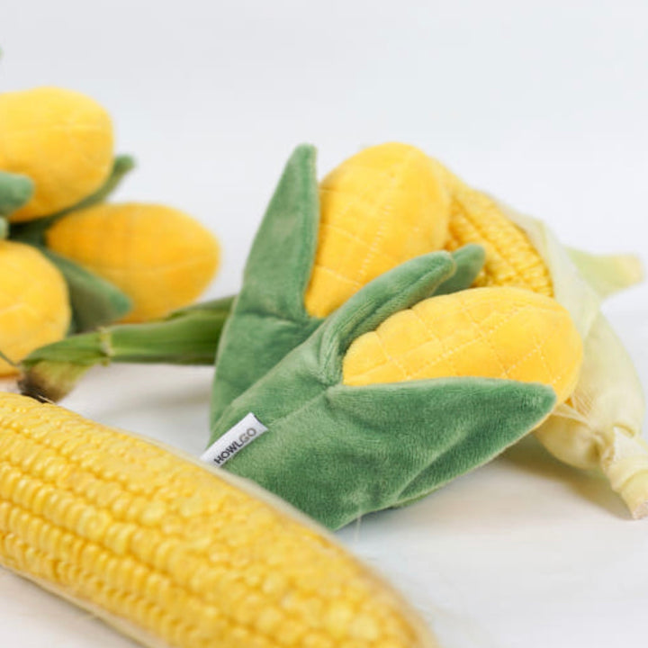 ※予約販売【HOWLPOT.】Howlgo Corn Toy（Nosework）