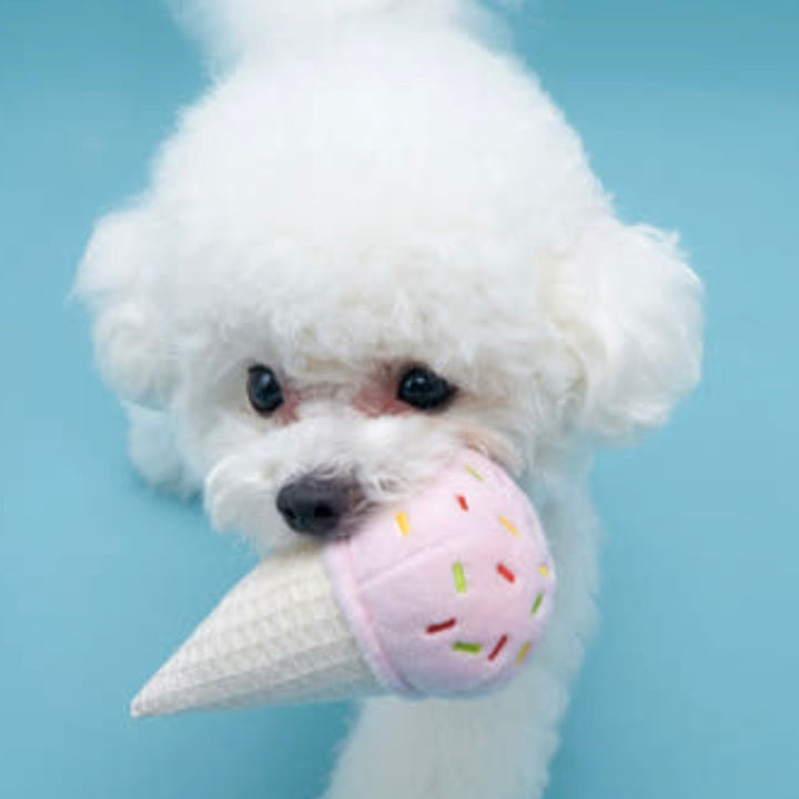 即納【HOWLPOT.】Howlgo Ice Cream Corn Toy（Rustle）