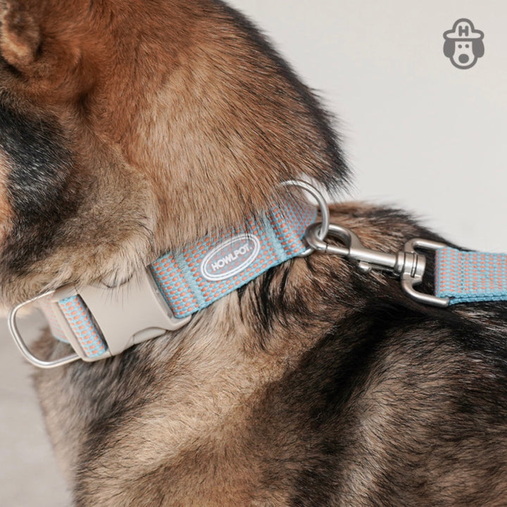 即納【HOWLPOT.】HOWL POT ×  HCC Large Club Collar（Blue）