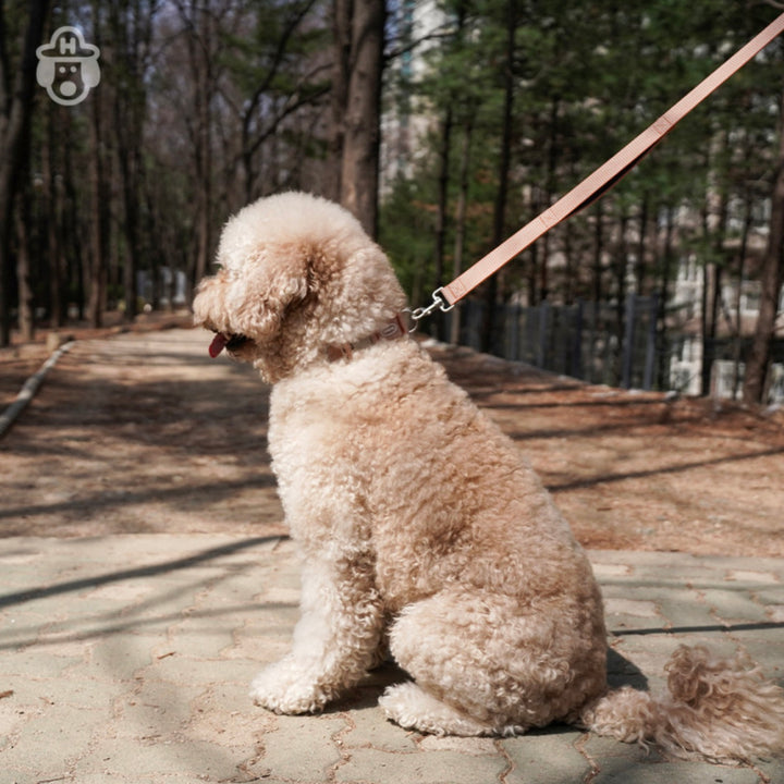 即納【HOWLPOT.】HOWL POT ×  HCC Large Club Collar（Orange）