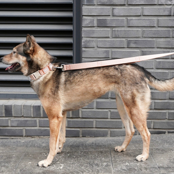 即納【HOWLPOT.】HOWL POT ×  HCC Large Club Collar（Orange）