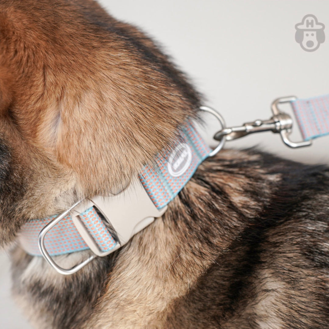 即納【HOWLPOT.】HOWL POT ×  HCC Large Club Collar（Blue）