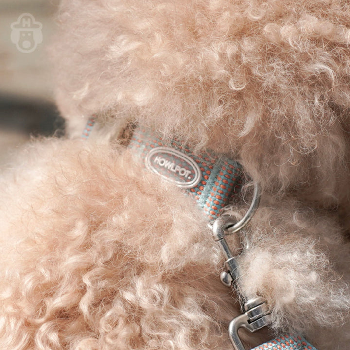 即納【HOWLPOT.】HOWL POT ×  HCC Large Club Collar（Blue）