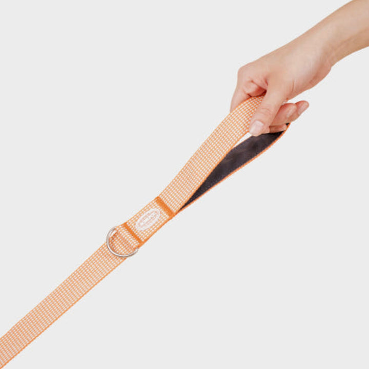 即納【HOWLPOT.】HOWL POT ×  HCC Large Club Leash（Orange）