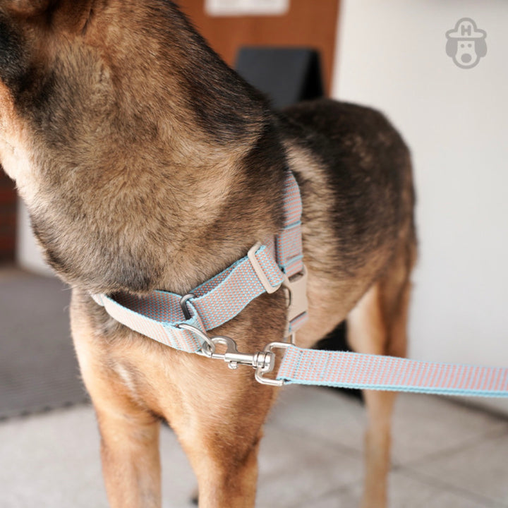 即納【HOWLPOT.】HOWL POT ×  HCC Large Club Leash（Orange）