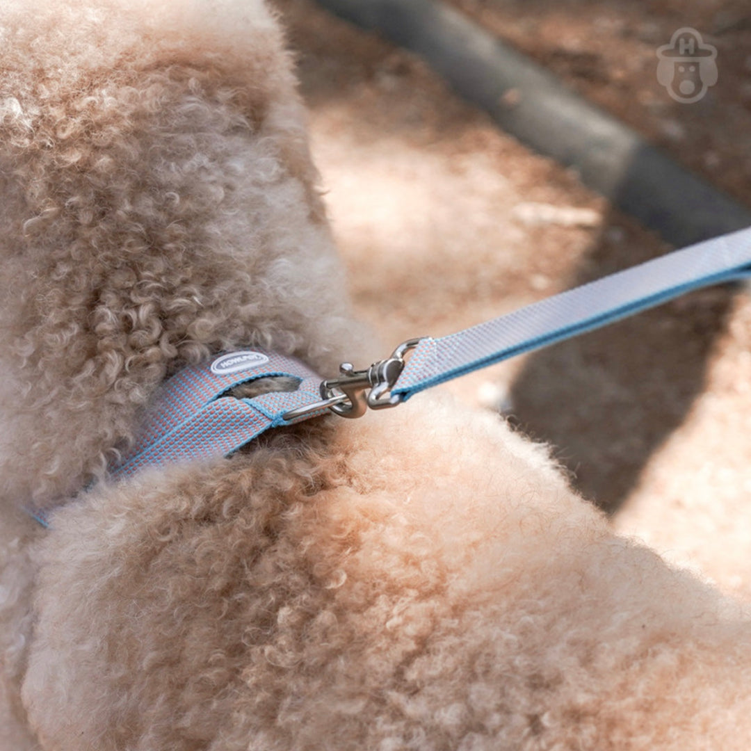 即納【HOWLPOT.】HOWL POT ×  HCC Large Club Leash（Blue）