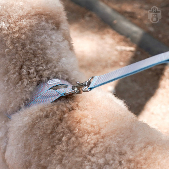 即納【HOWLPOT.】HOWL POT ×  HCC Large Club Leash（Blue）