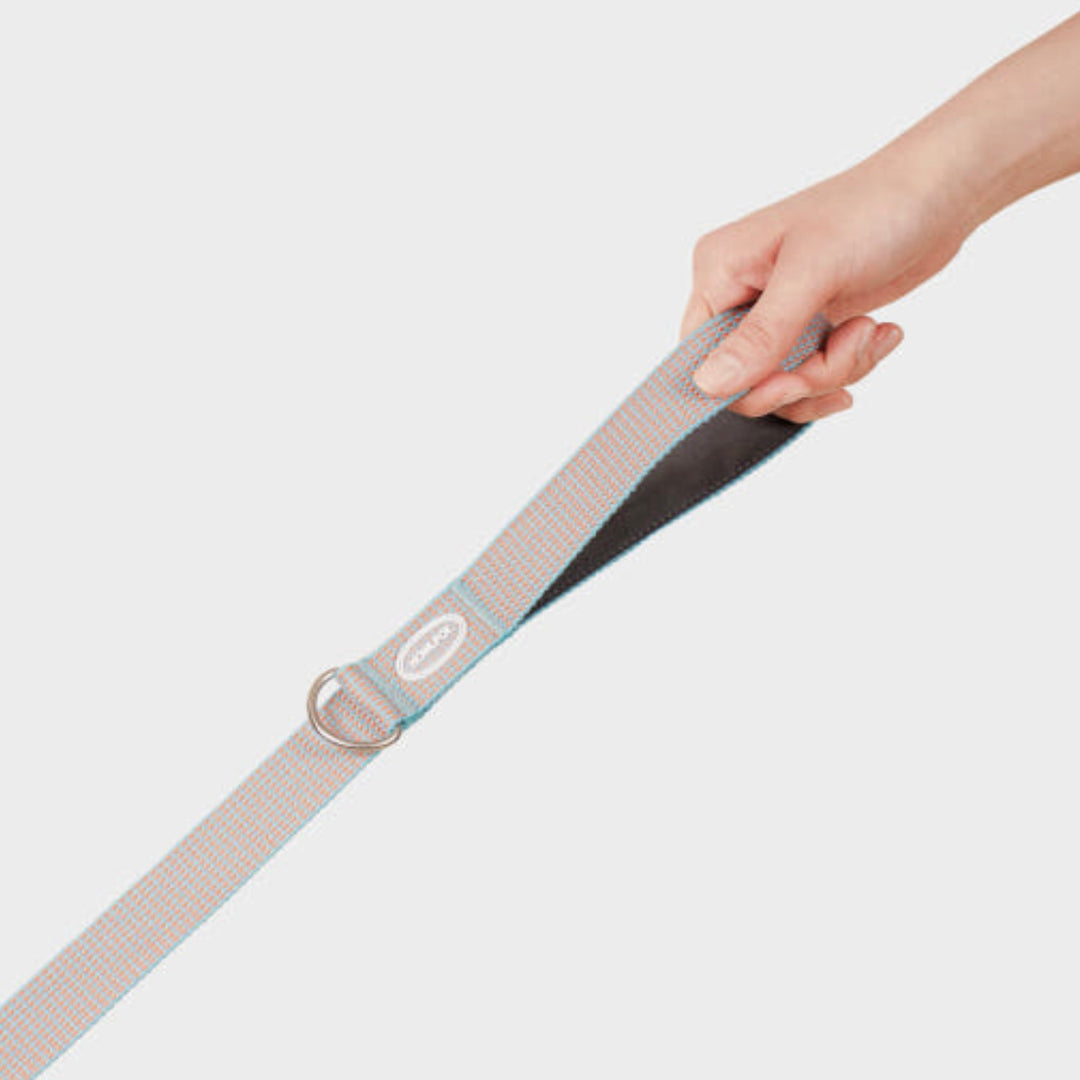 即納【HOWLPOT.】HOWL POT ×  HCC Large Club Leash（Blue）