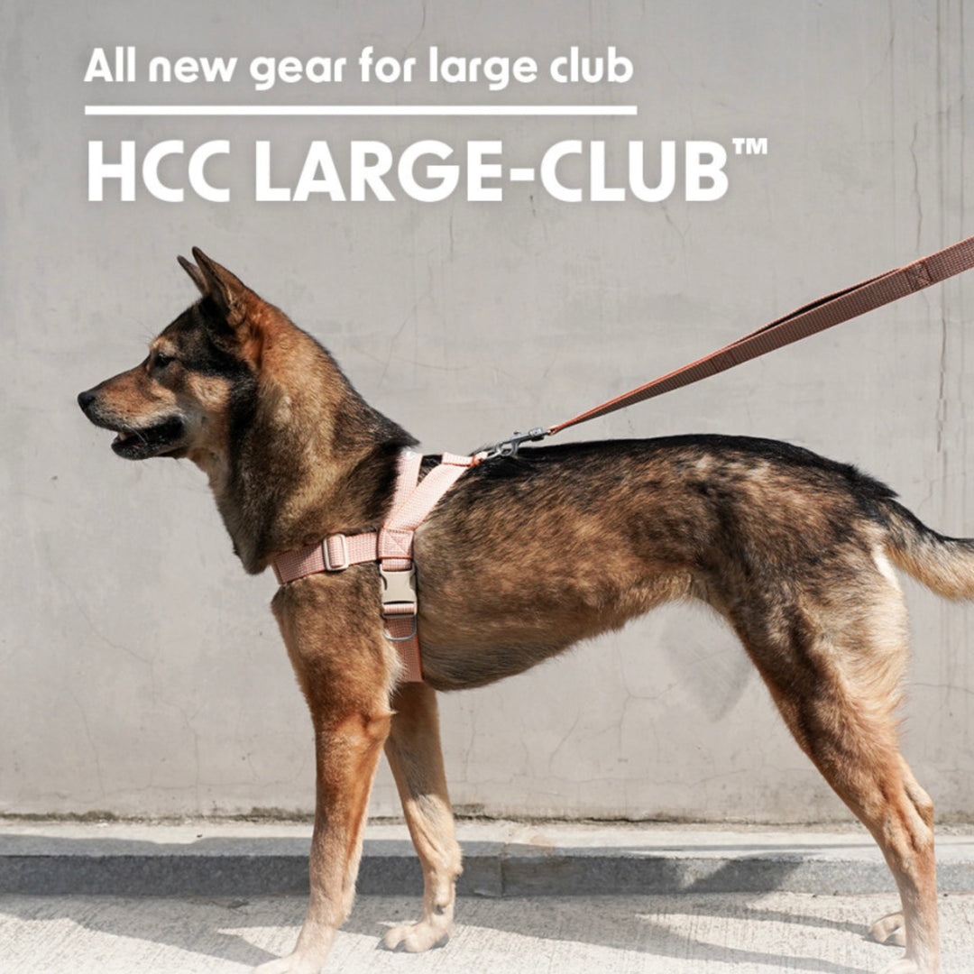 即納【HOWLPOT.】HOWL POT ×  HCC Large Club Harness（Orange）