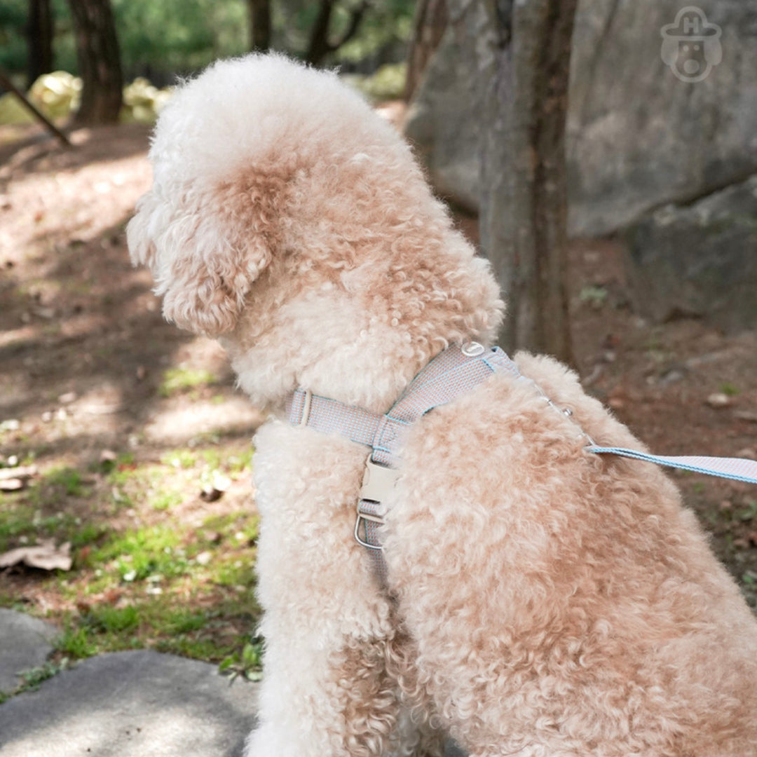 即納【HOWLPOT.】HOWL POT ×  HCC Large Club Harness（Blue）