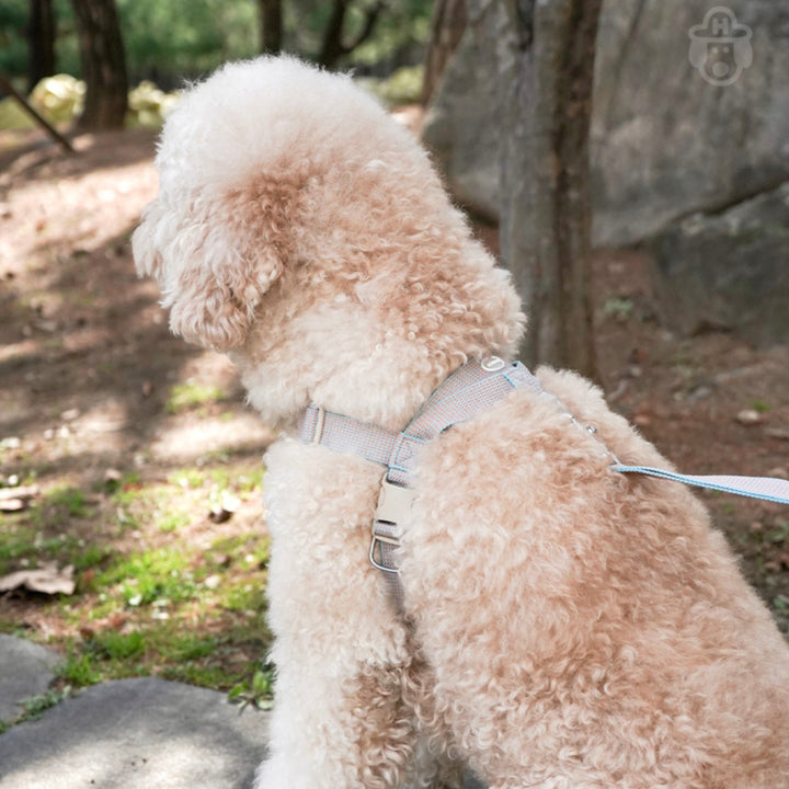 即納【HOWLPOT.】HOWL POT ×  HCC Large Club Harness（Blue）