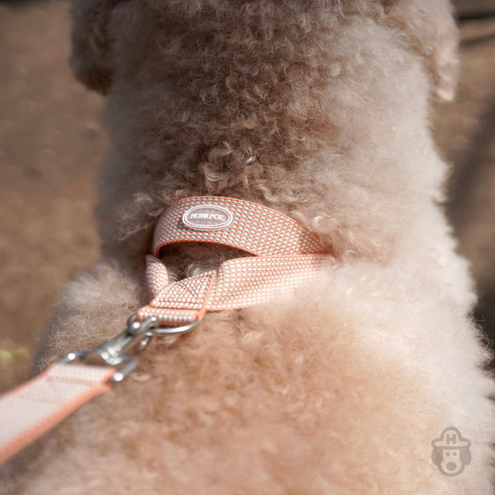 即納【HOWLPOT.】HOWL POT ×  HCC Large Club Harness（Orange）