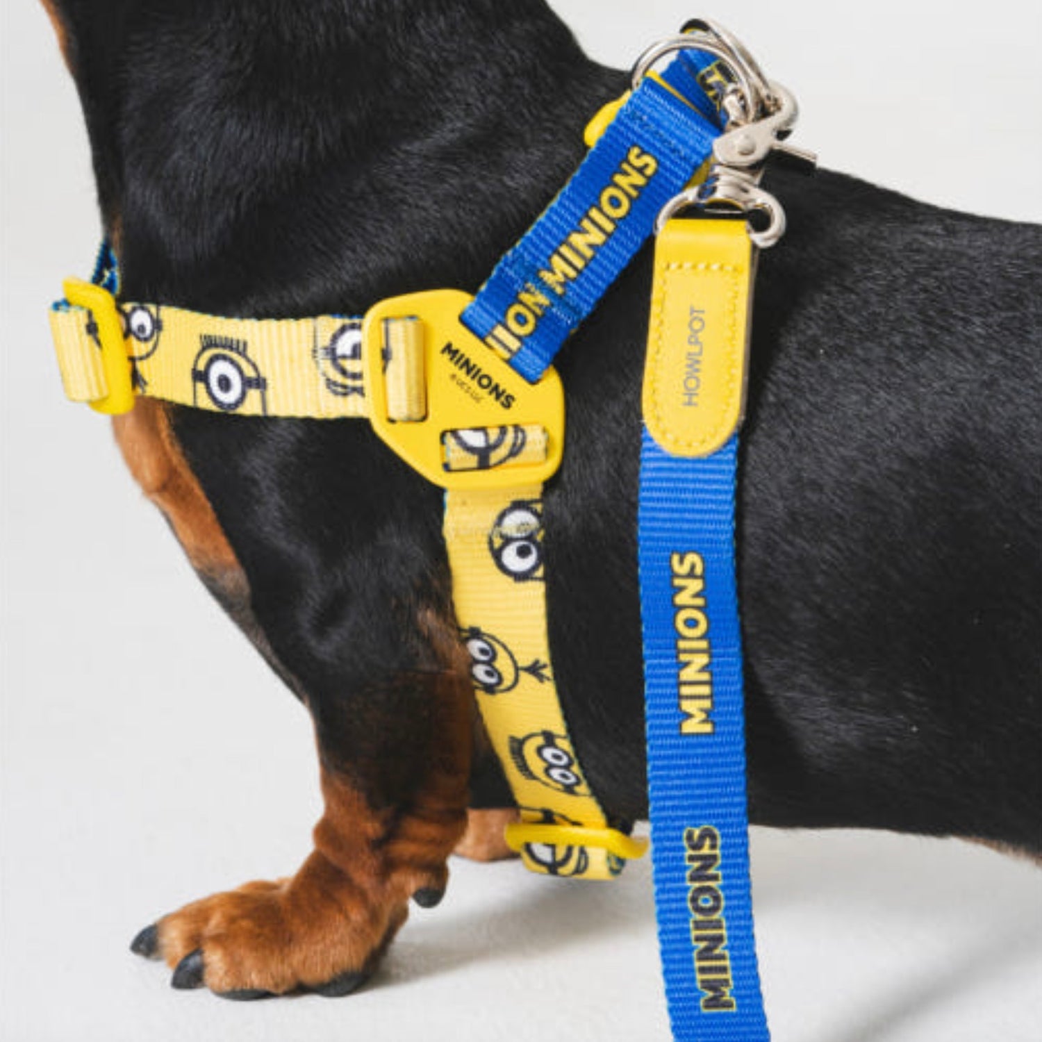 即納【HOWLPOT.】Howl pot × MINIONS Minions Harness