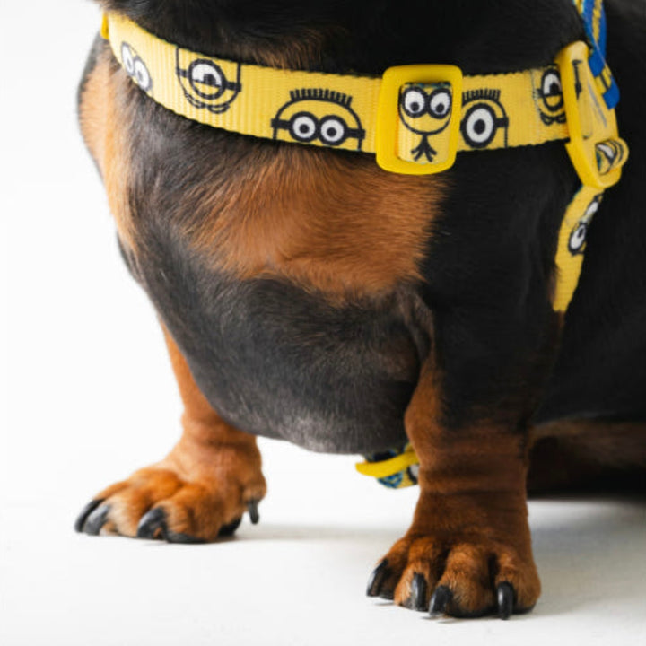 即納【HOWLPOT.】Howl pot × MINIONS Minions Harness