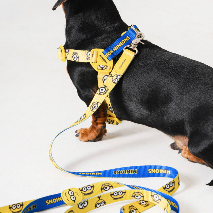 即納【HOWLPOT.】Howl pot × MINIONS Minions Harness