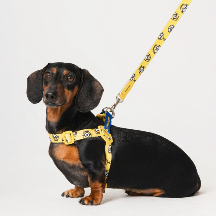 即納【HOWLPOT.】Howl pot × MINIONS Minions Harness