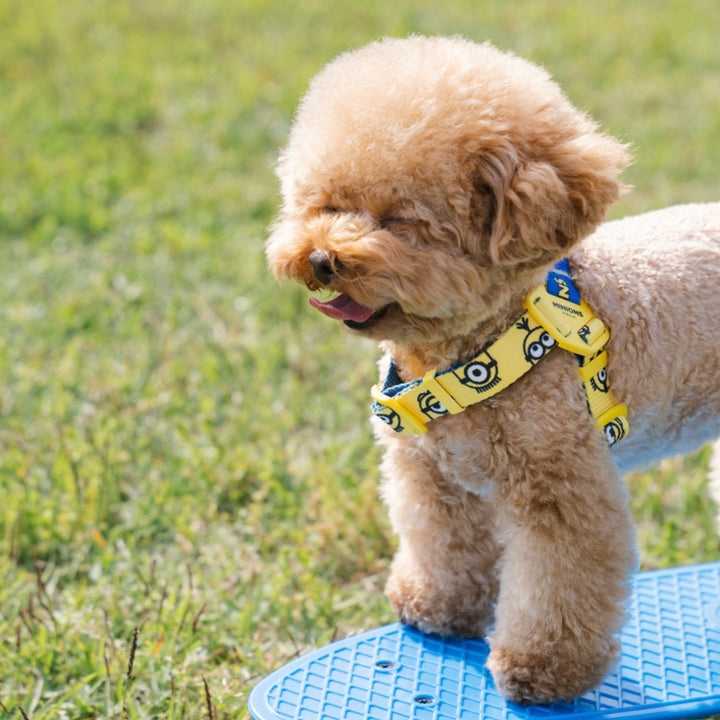 即納【HOWLPOT.】Howl pot × MINIONS Minions Harness