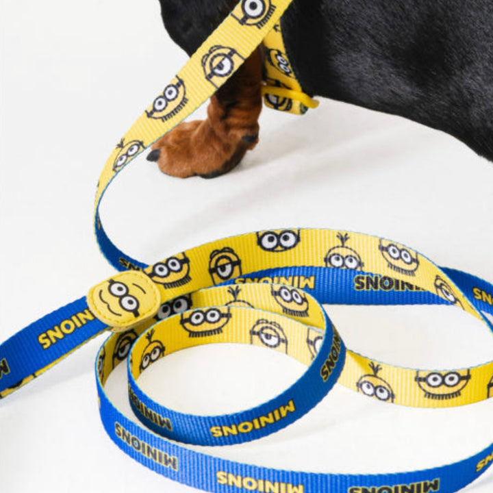 即納【HOWLPOT.】Howl pot × MINIONS Minions Leash