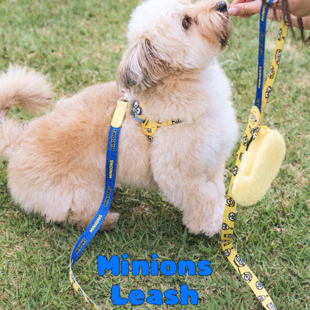 即納【HOWLPOT.】Howl pot × MINIONS Minions Leash