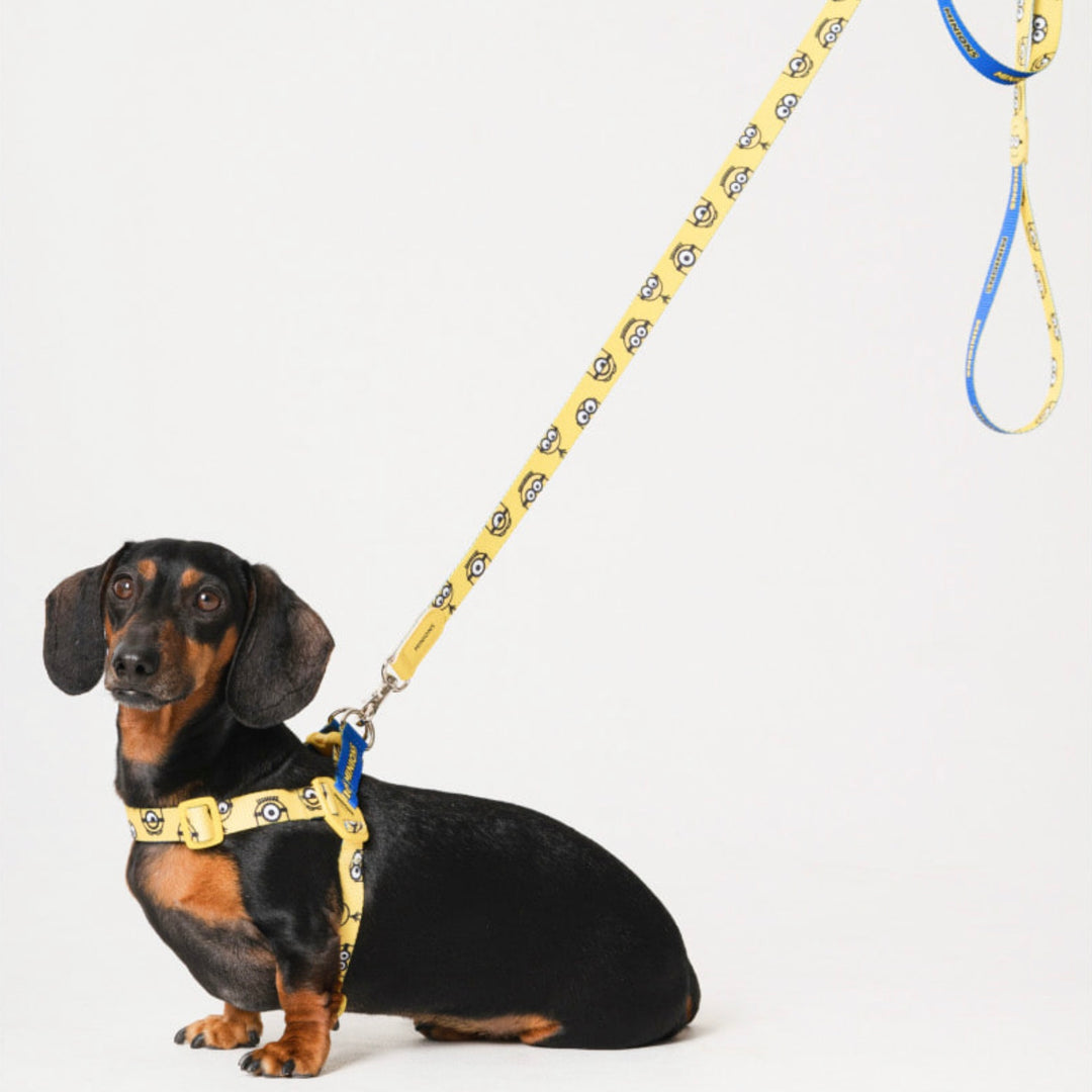 即納【HOWLPOT.】Howl pot × MINIONS Minions Leash