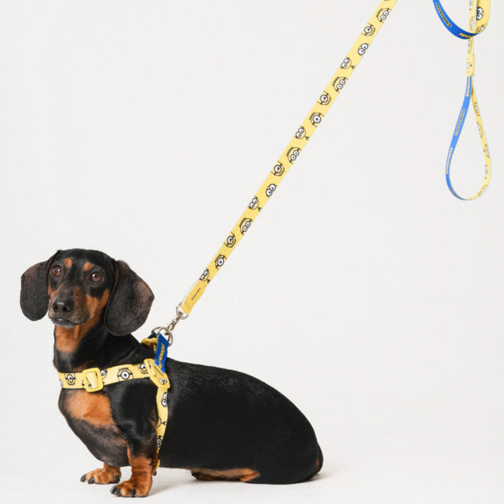 即納【HOWLPOT.】Howl pot × MINIONS Minions Leash