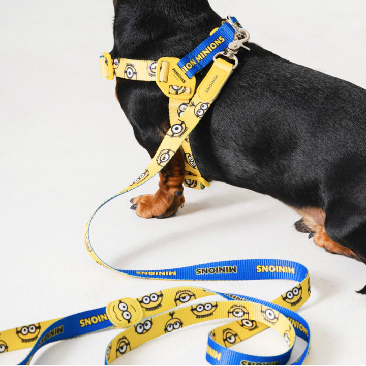即納【HOWLPOT.】Howl pot × MINIONS Minions Leash