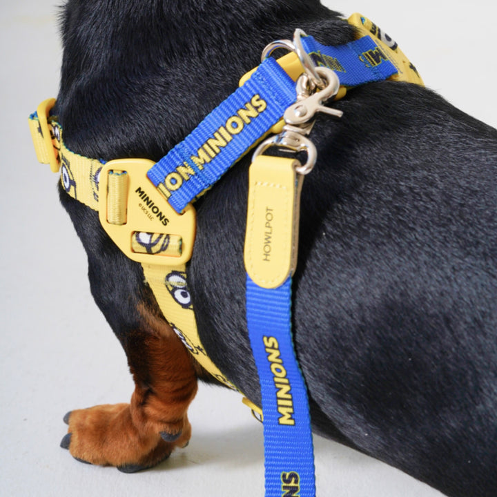 即納【HOWLPOT.】Howl pot × MINIONS Minions Leash
