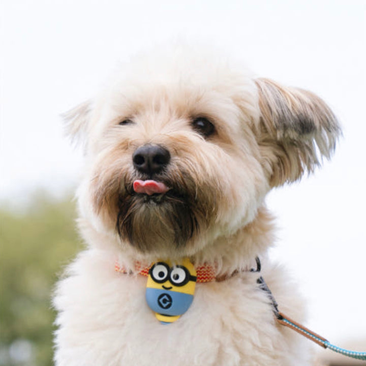 即納【HOWLPOT.】Howl pot × MINIONS Minions Walking LED