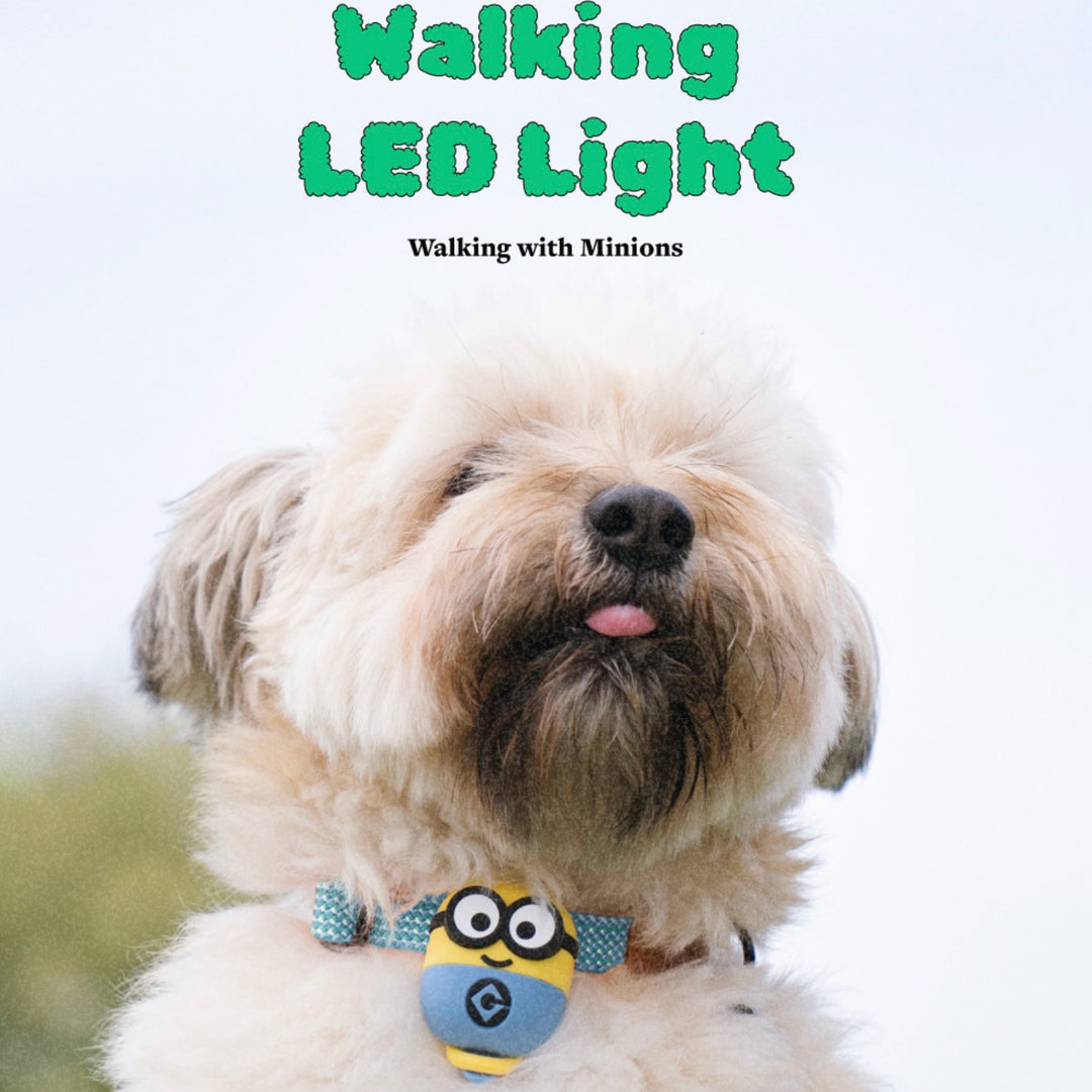 即納【HOWLPOT.】Howl pot × MINIONS Minions Walking LED