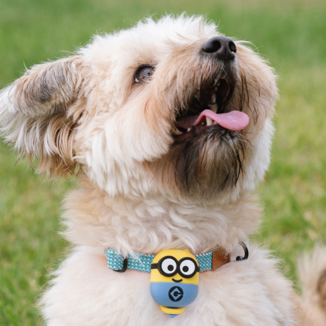 即納【HOWLPOT.】Howl pot × MINIONS Minions Walking LED