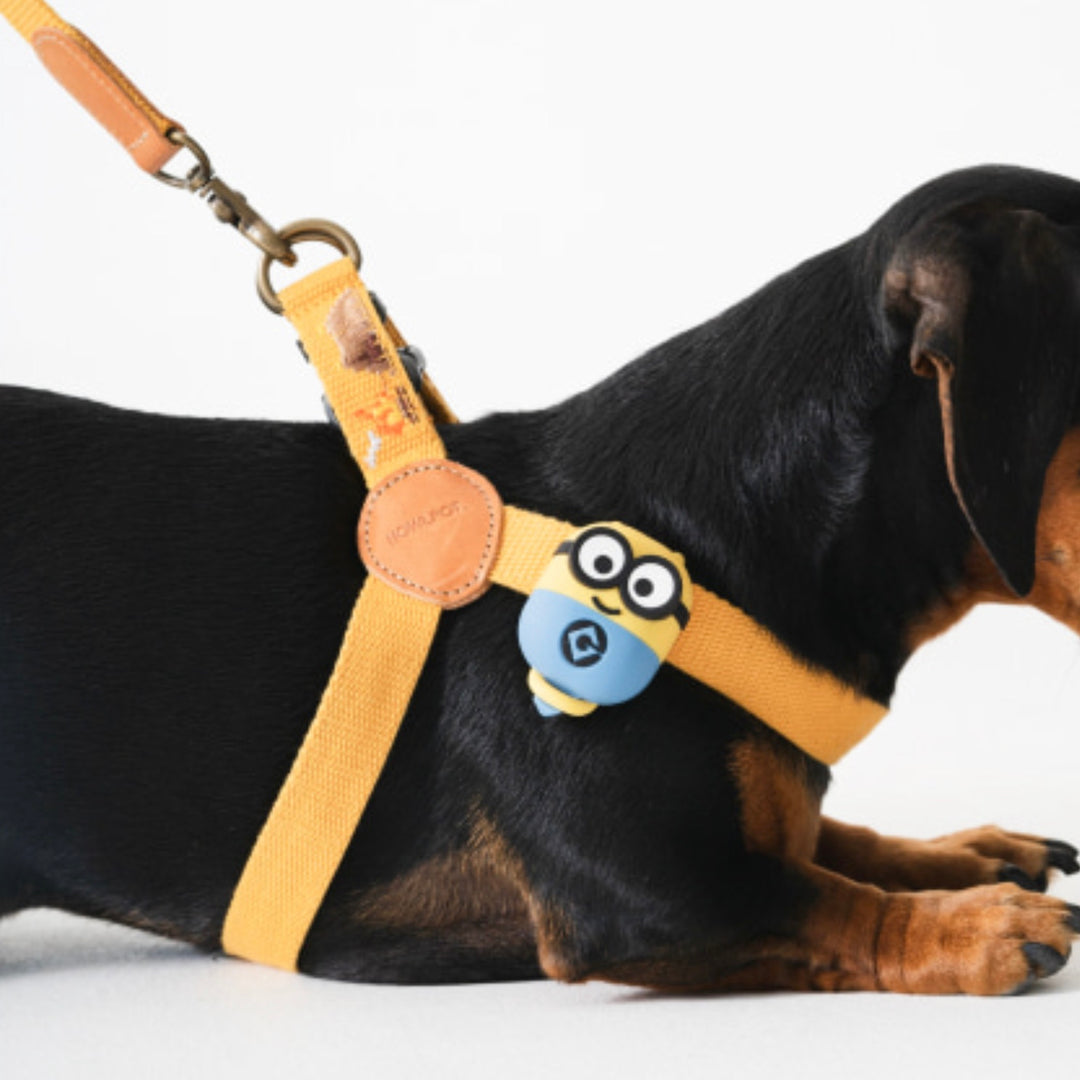 即納【HOWLPOT.】Howl pot × MINIONS Minions Walking LED