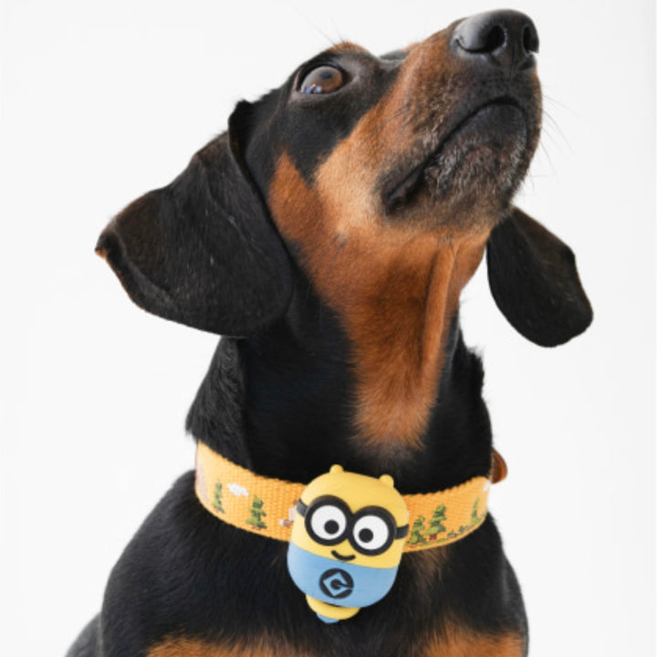 即納【HOWLPOT.】Howl pot × MINIONS Minions Walking LED