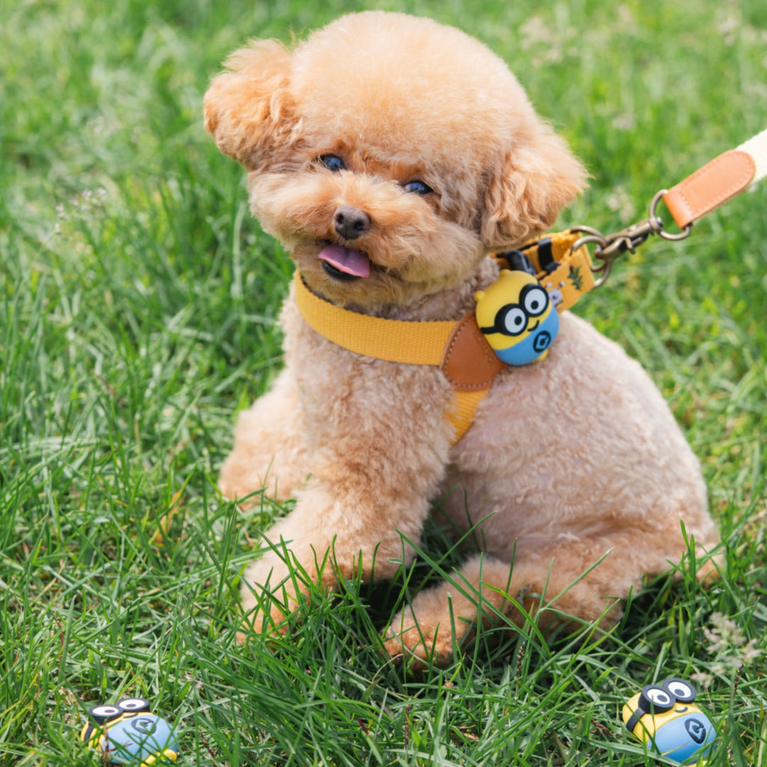 即納【HOWLPOT.】Howl pot × MINIONS Minions Walking LED