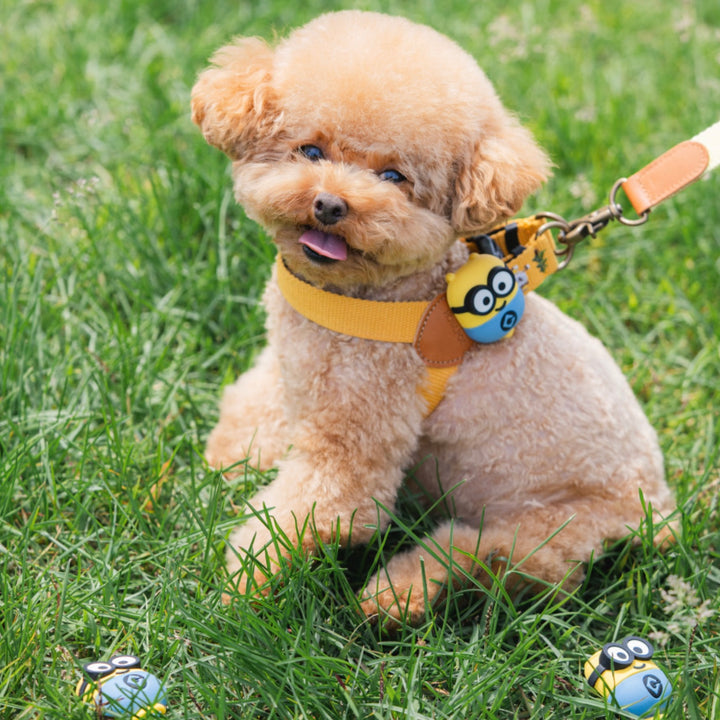 即納【HOWLPOT.】Howl pot × MINIONS Minions Walking LED