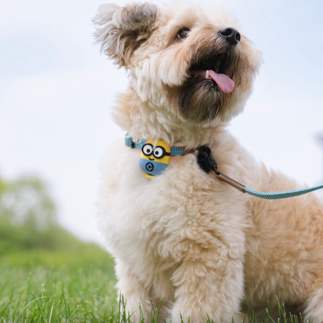 即納【HOWLPOT.】Howl pot × MINIONS Minions Walking LED