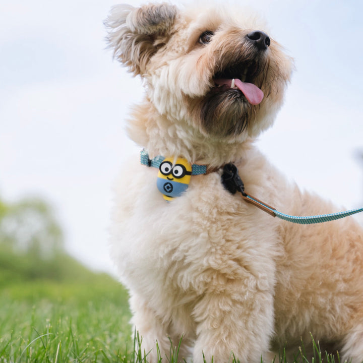 即納【HOWLPOT.】Howl pot × MINIONS Minions Walking LED