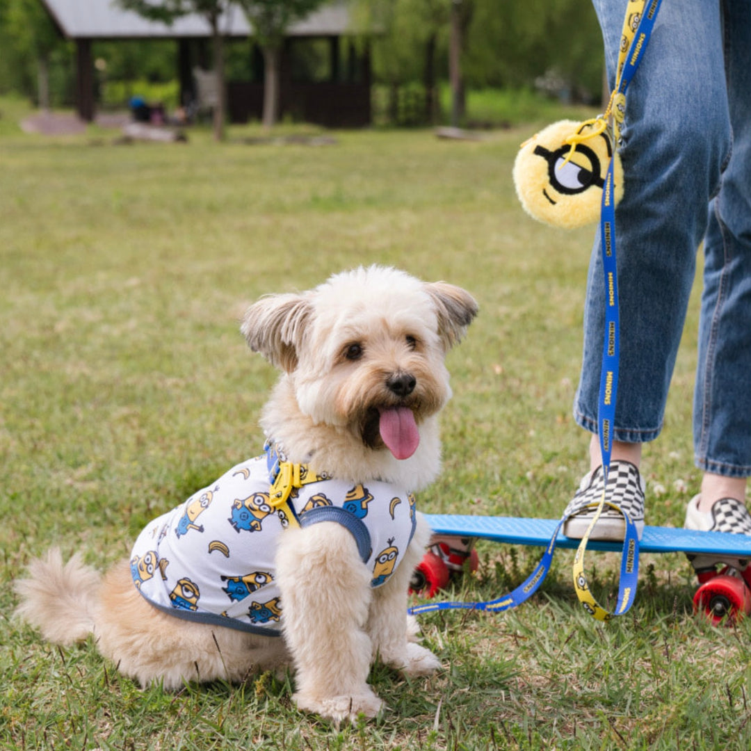 即納【HOWLPOT.】Howl pot × MINIONS Minions KeyRing Pouch（Kevin）