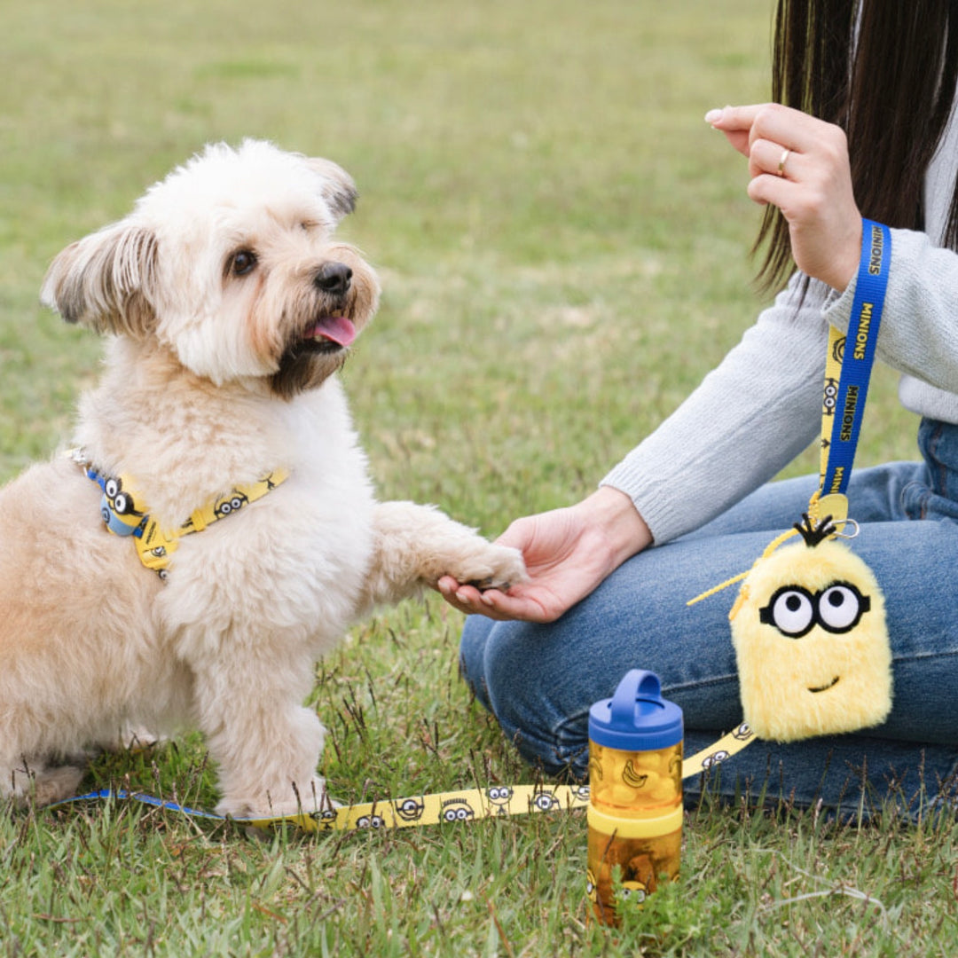 即納【HOWLPOT.】Howl pot × MINIONS Minions KeyRing Pouch（Kevin）