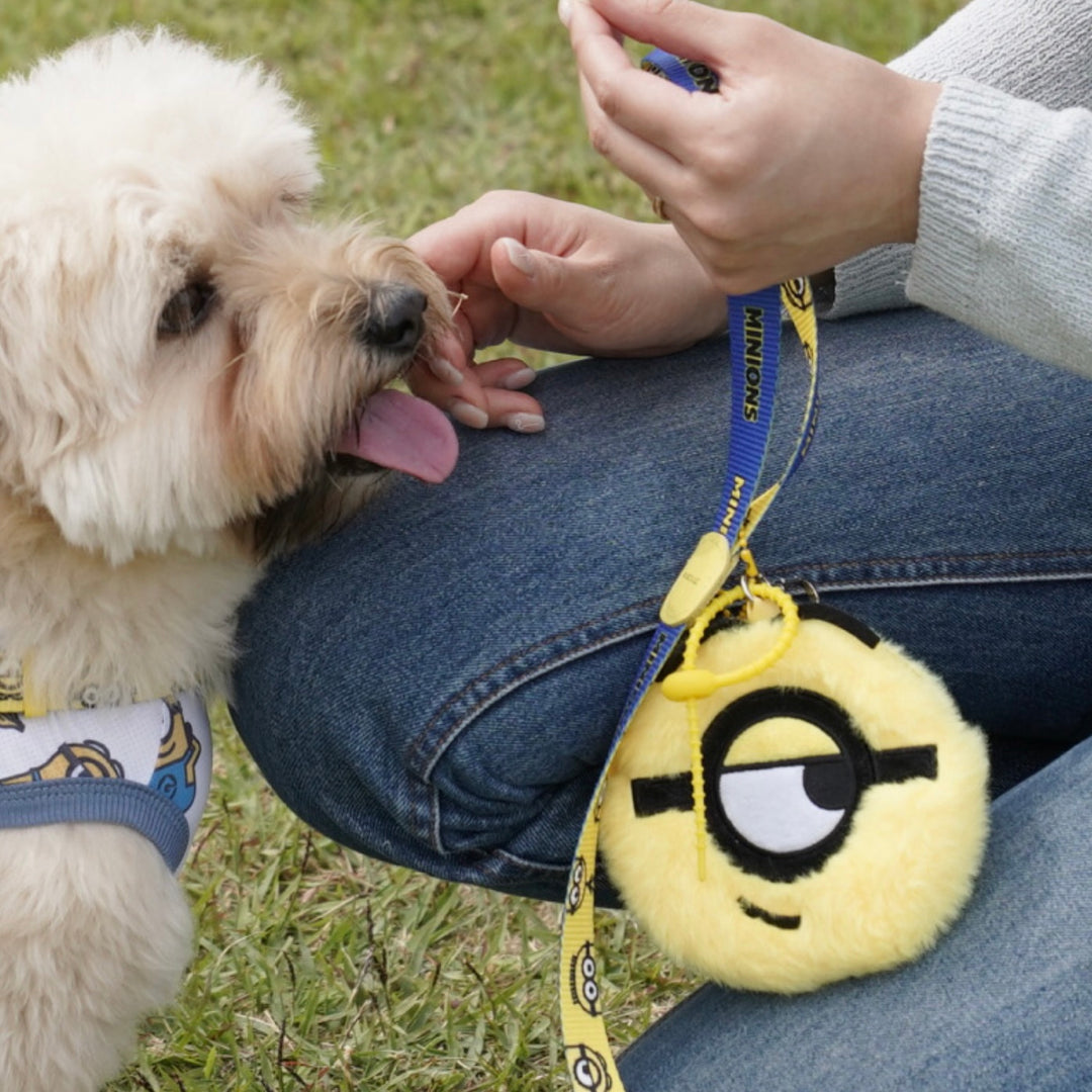 即納【HOWLPOT.】Howl pot × MINIONS Minions KeyRing Pouch（Stuart）