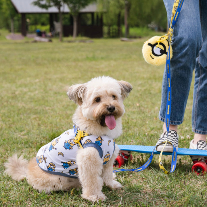 即納【HOWLPOT.】Howl pot × MINIONS Minions KeyRing Pouch（Stuart）