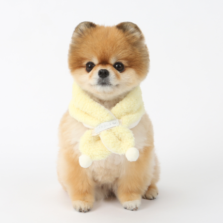 ※予約販売【ITS DOG】Snowball scarf (Yellow)